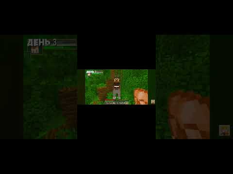 Видео: 6 ноября 2025 г.