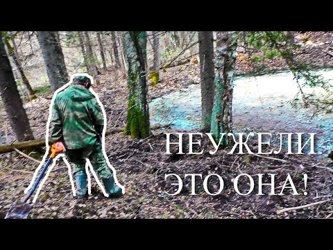 Видео: НЕ СМОГ СДЕРЖАТЬ СЛЁЗ! НАШЁЛ ТАКУЮ МОНЕТУ!