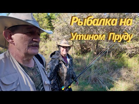 Видео: Осенняя рыбалка на утином пруду