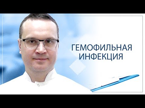Видео: Гемофильная инфекция