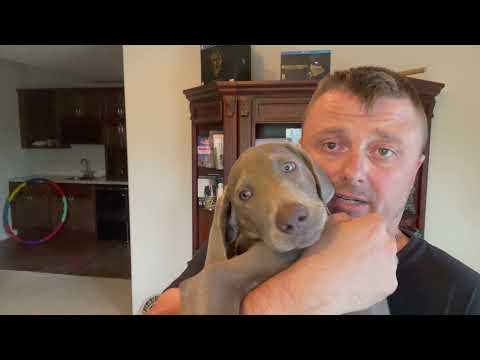 Видео: Нашел гитару из моего ТОП 5 списка!!