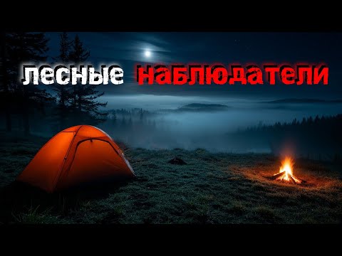 Видео: 4 страшные истории о Жутких Встречах в Глуши