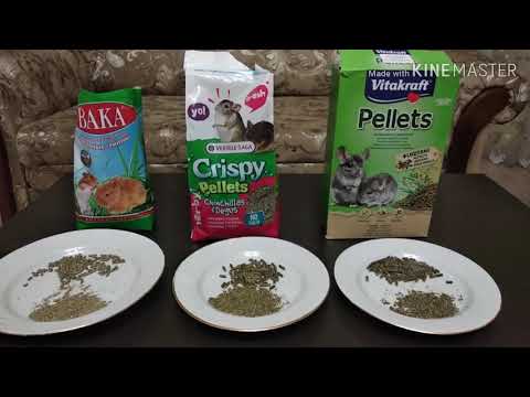 Видео: Гранулят для шиншилл. Какой гранулированный корм выбрать.