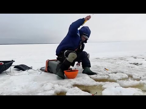 Видео: ПЛОТВА , ОКУНЬ , СИГ И ДР . РЫБА . ЗИМНЯЯ РЫБАЛКА . БОЛЬШОЕ ОЗЕРО .