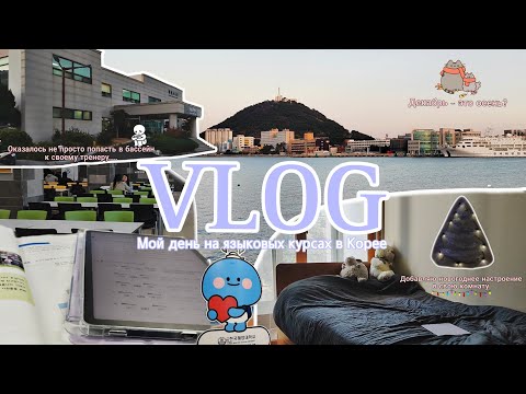 Видео: DAILY VLOG / Обычный  день в Корее / Языковые курсы / Рутина / Учеба