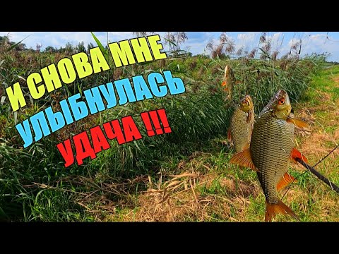 Видео: Я ПРОСТО В ВОСТОРГЕ ОТ ТАКОЙ РЫБАЛКИ!!! Удачная рыбалка на экраны телевизоры.