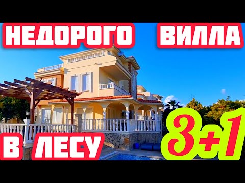 Видео: НА БЕРЕГУ МОРЯ В ЛЕСУ вилла в Турции НЕДОРОГО КУПИТЬ недвижимость в Турции ПОД КЛЮЧ СУПЕР