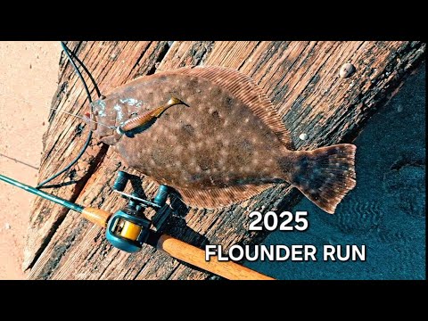 Видео: Flounder Run 2025 На охоту за ЛЕГЕНДАРНЫМ КОВРИКОМ!