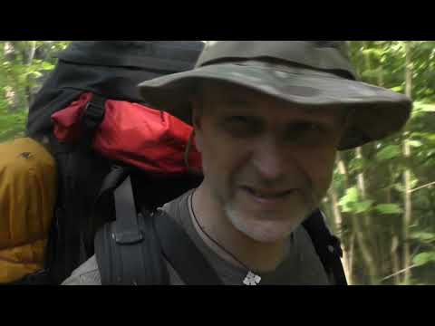 Видео: Лес, жара, гроза и вкусная еда.  Готовим индейку с овощами