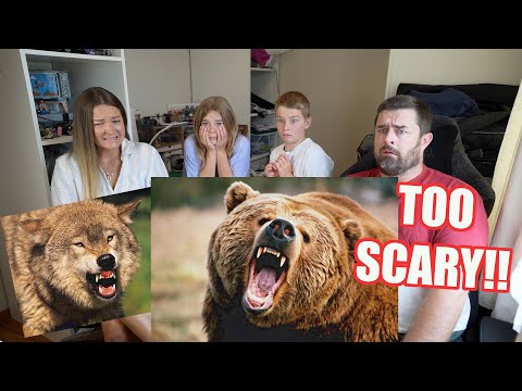 Видео: Реакция семьи из Новой Зеландии на 10 самых опасных животных в США (№1 НЕ МОЖЕТ БЫТЬ ПРАВДОЙ!!)