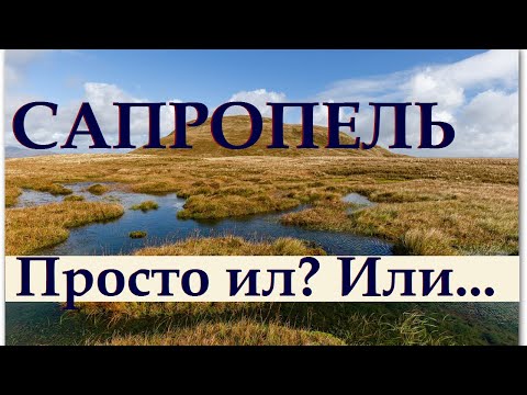 Видео: 196_Сапропель. Это просто ил? Или...
