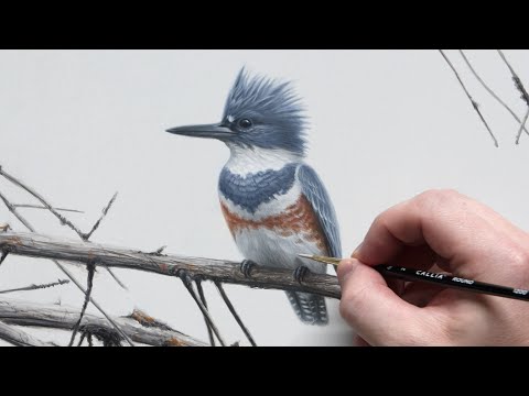 Видео: Зимородок | Акриловая живопись