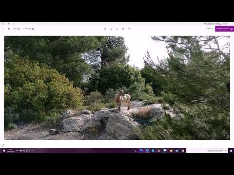 Видео: 1448. Отрывок из интервью при приёме на работу. Отрицательные качества. Говорим на иврите