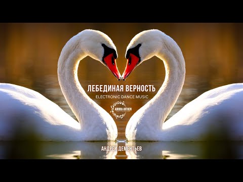 Видео: Лебединая Верность | Swan’s Devotion | Андрей Дементьев | EDM Remix | Electronic Dance Music