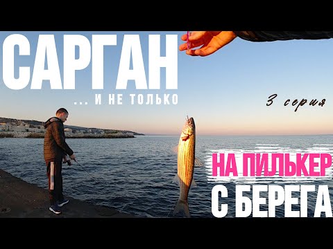 Видео: Рыбалка на саргана. Как ловить саргана. Проводка на саргана. Пилькер на саргана. Сарган на пилькер.