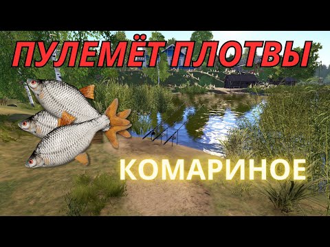 Видео: 🔥РУССКАЯ РЫБАЛКА 4🔥 О.КОМАРИНОЕ🔥Пулемёт плотвы🔥