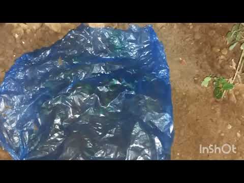 Видео: 14 СЕНТЯБРЬ КУМГА КАЛАМЧА КИЛАМИЗ🌺🌺🌲🌺🌺🌲🌺🌺🌲🌺🌺🌲🌺🌺