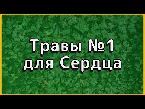 Видео: 7 трав для сердца: через 2 недели забудете про скачки давления