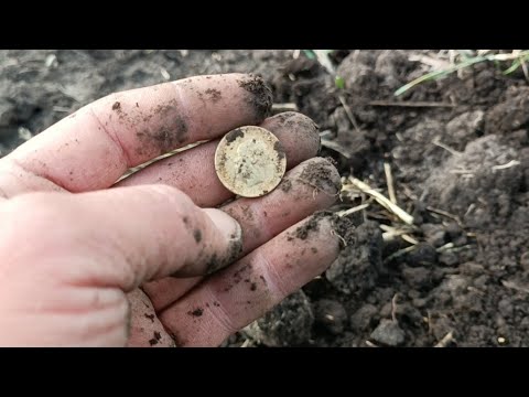 Видео: Я искал её 20лет #metaldetecting #metaldetector #находкисметаллоискателем #коп #клад #золото 