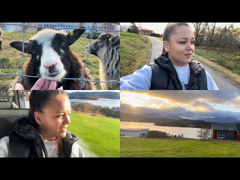 Видео: VLOG.НОРВЕГИЯ🇳🇴 Поехала узнавать насчёт работы... ЧТО ИЗ ЭТОГО ВЫШЛО?