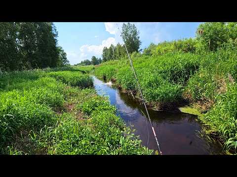 Видео: ДА СКОЛЬКО ЗДЕСЬ ЩУКИ В ЭТОМ РУЧЬЕ ?!! Рыбалка на спиннинг
