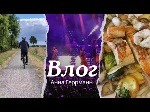 Видео: Смотрим Велосипеды//Обед как в Ресторане//Гулять так гулять//
