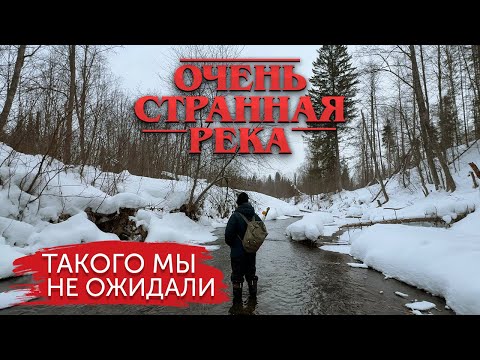 Видео: РЫБАЛКА ПОЛНАЯ НАДЕЖД! В поисках зимнего хариуса!