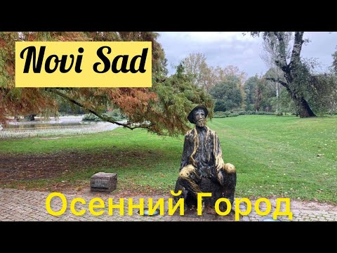 Видео: Нови Сад. Осенний Город. Идем К Пляжу. Novi Sad. Serbia. Сербия. Воеводина. Voevodina