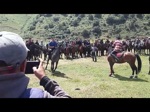 Видео: такталык м