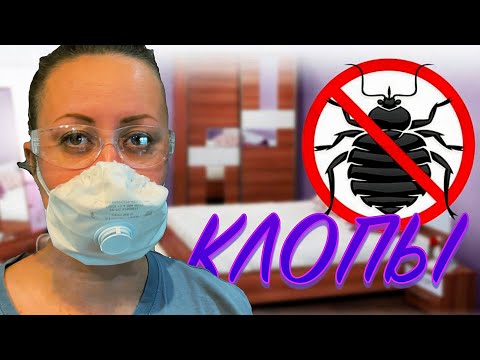 Видео: Постельный КЛОП. ШОК-контент. МЕТОДЫ и наш опыт борьбы с ними.