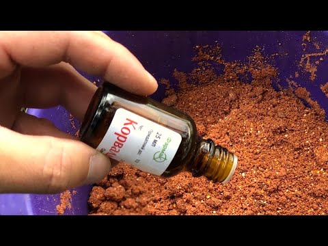 Видео: Поклёвки ДУРДОМ!!! в 100 раз лучше любого аттрактанта! Рыбалка на Фидер после нереста