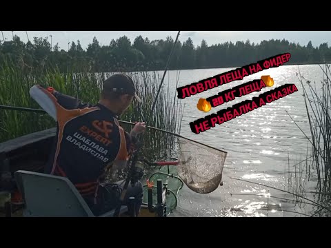 Видео: ЛОВЛЯ ЛЕЩА НА ФИДЕР 🔥20 КГ ЛЕЩА 🔥НЕ РЫБАЛКА А СКАЗКА