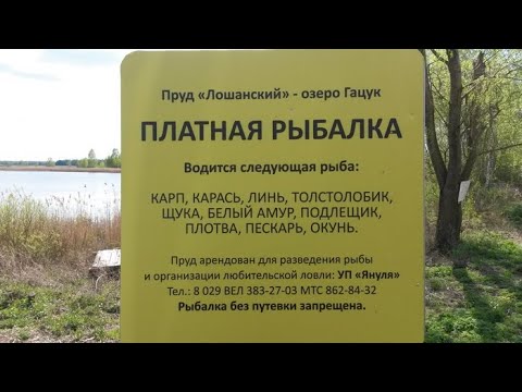 Видео: Что нужно знать о платной рыбалке