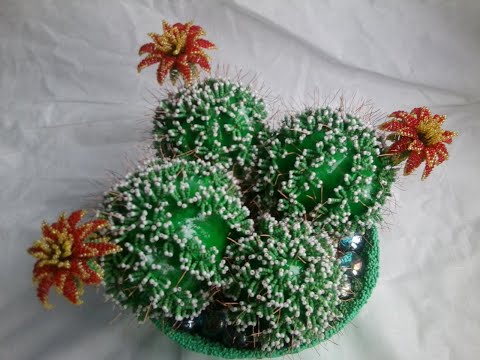 Видео: Учимся вместе с BOOKлей. Кактус из бисера