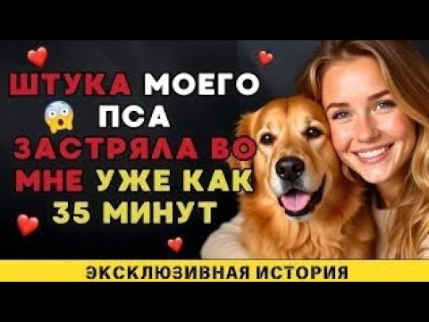 Видео: Мой пёс делает это для меня каждый раз, когда мой муж уезжает в командировку.