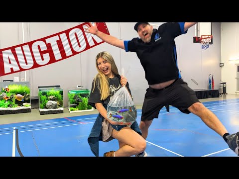 Видео: Что мы нашли на аукционе АКВАРИУМНЫХ РЫБОК в Австралии!