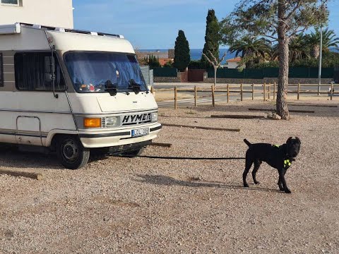 Видео: Автодом интеграл HYMER 544 2.5td 1990 обзор (легенда)