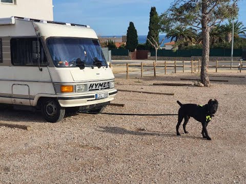 Видео: Автодом интеграл HYMER 544 2.5td 1990 обзор (леганда)