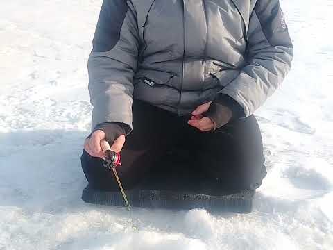 Видео: Рыбалка на окуня. Открытие зимнего сезона. 