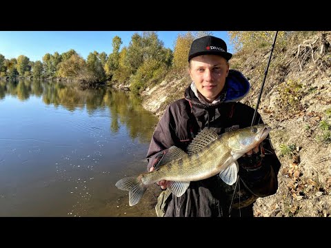 Видео: Ловля судака та щуки в корчах! Риболовля на Десні