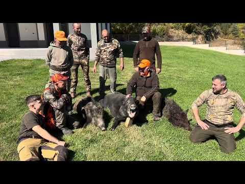 Видео: 5 октомври 2025 г.