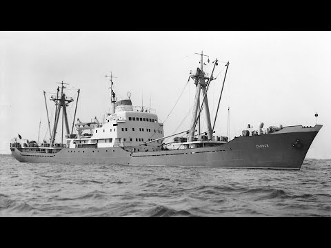 Видео: Теплоход  "Сальск"