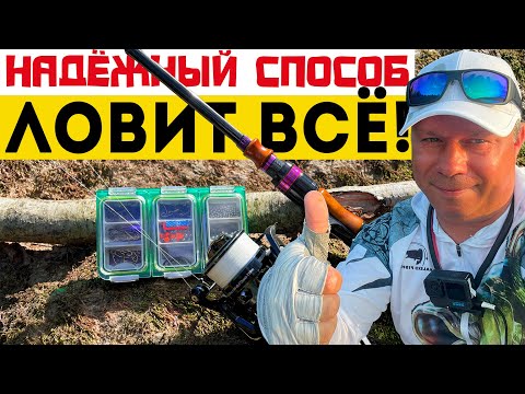 Видео: МОРМЫШИНГ: Забродная Ловля ХАРИУСА и ФОРЕЛИ. Проверенные методы! #рыбалка #хариус #форель #окунь