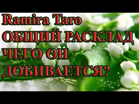 Видео: ЧЕГО ОН ДОБИВАЕТСЯ?