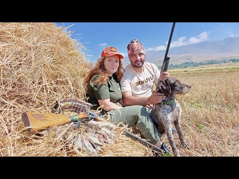 Видео: Охота в Армении 2025-2026 / Որսաշրջանի բացում / vors Hayastanum / quail hunting /#hunting #vors 