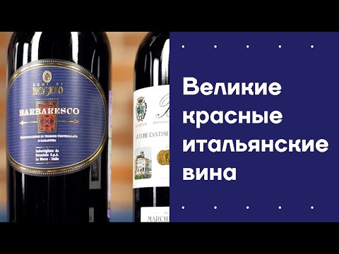 Видео: Великие красные итальянские вина