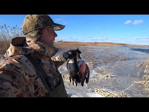 Видео: -12 градусов... Отмороженные охотники))) Охота на утку по льду на вертушке в дельте волги.