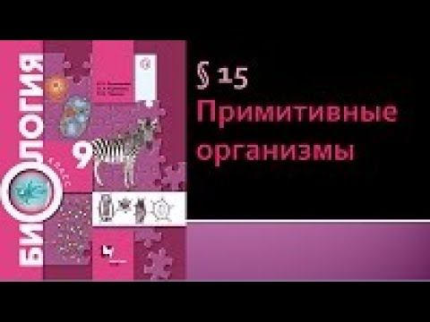 Видео: Биология 9 класс. Примитивные организмы