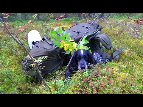 Видео: Путешествие на Ямозеро Ч24. Волок. Заброшенная рыболовецкая база. Один в глухой тайге. Изба на озере