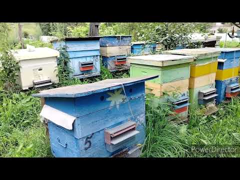 Видео: Сказка Разбираем Демоническую кашу.